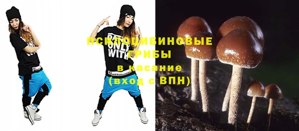 шишки Богородск
