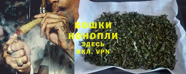 бошки Богородицк