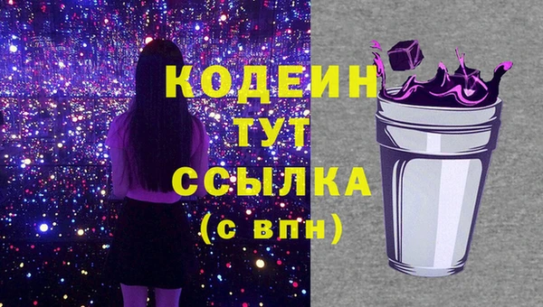 шишки Богородск