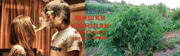 бошки Богородицк