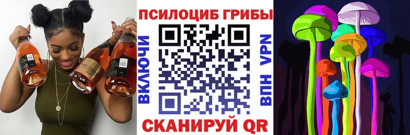 Купить где  Арсеньев  Псилоцибиновые грибы Psilocybine cubensis 